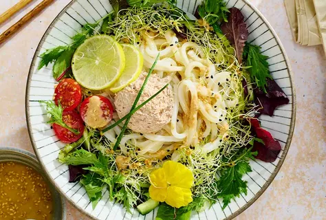Doğu stili udon noodle salatası